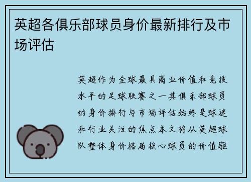 英超各俱乐部球员身价最新排行及市场评估